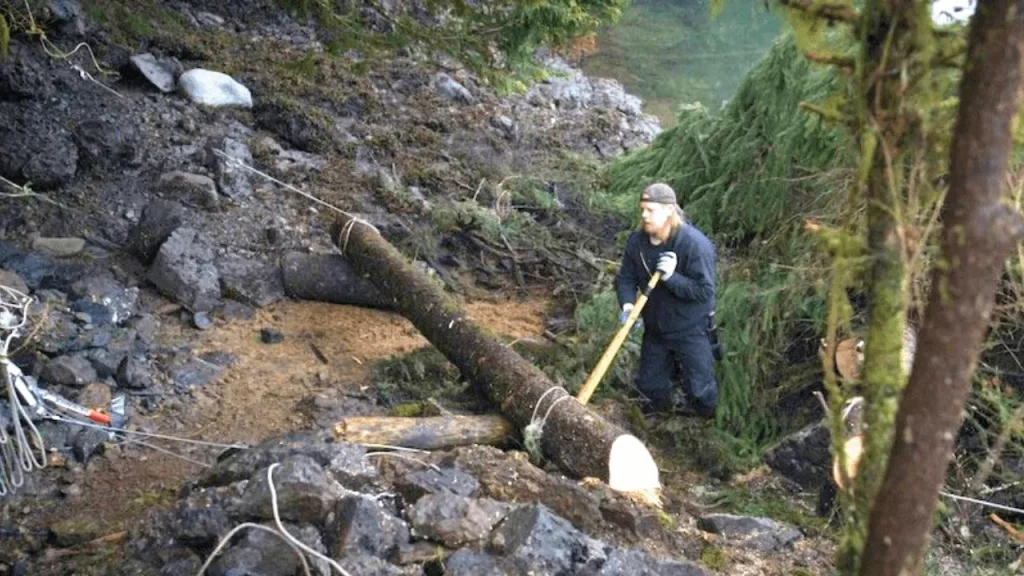 Tim Curly Leach Cutting Firewood