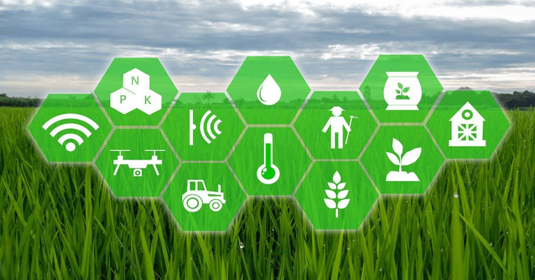 Digital Agriculture and Smart Farming: Revolutionizing Agriculture through Technology