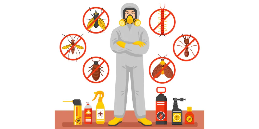 Everything You Need To Know About Pest Control Services!