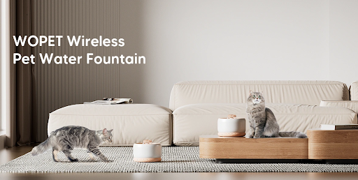 wopet pet water fountain