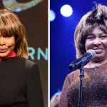 tina turner networth