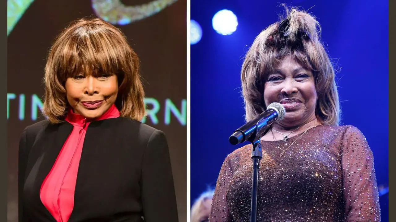tina turner networth