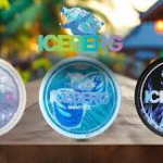 Getting Started With Iceberg Pouches