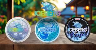 Getting Started With Iceberg Pouches